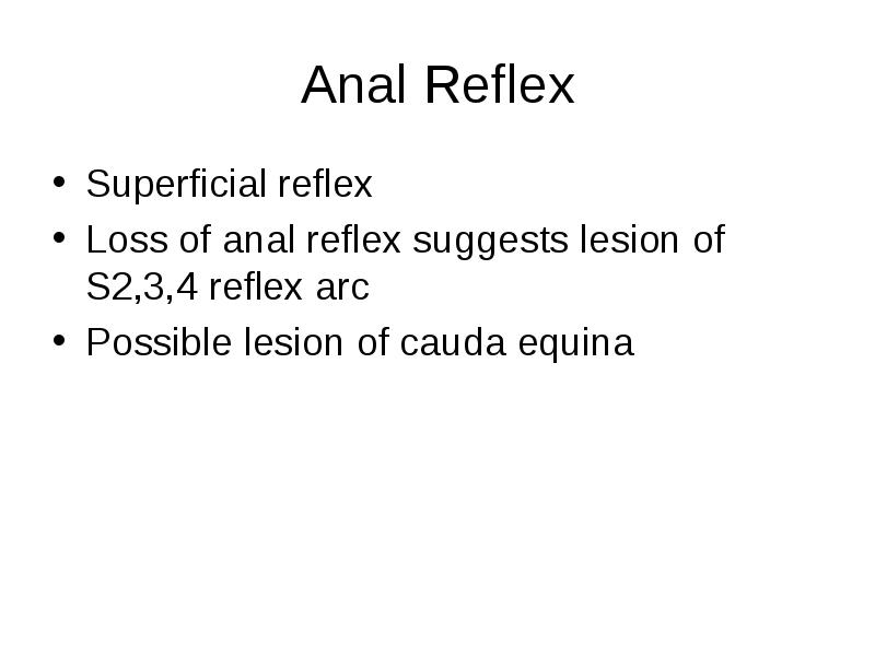 best of Superficial Anal reflex